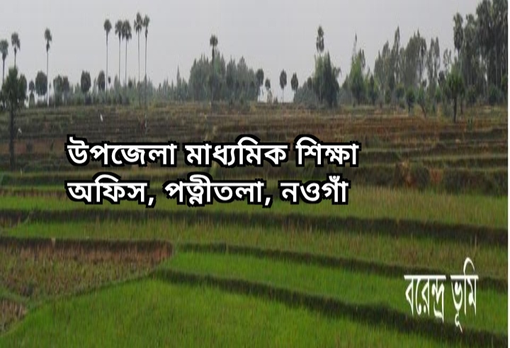 পত্নীতলায় এসএসসি ও সমমানের পাশের হার ৬২.০১ শতাংশ