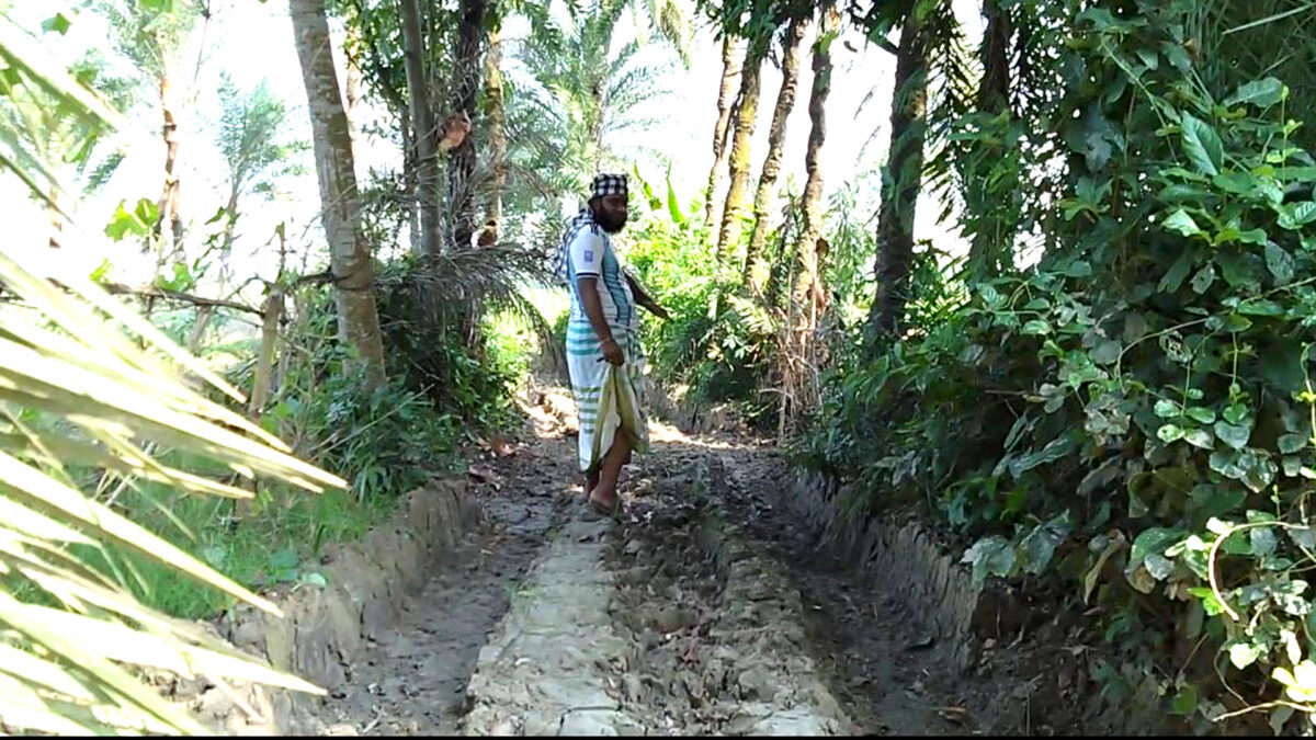 স্বাধীনতার ৫৫ বছরেও পাকা হয়নি আড়ুয়াশালুয়ার সড়ক, দুর্ভোগে ১০-১২ গ্রামের মানুষ